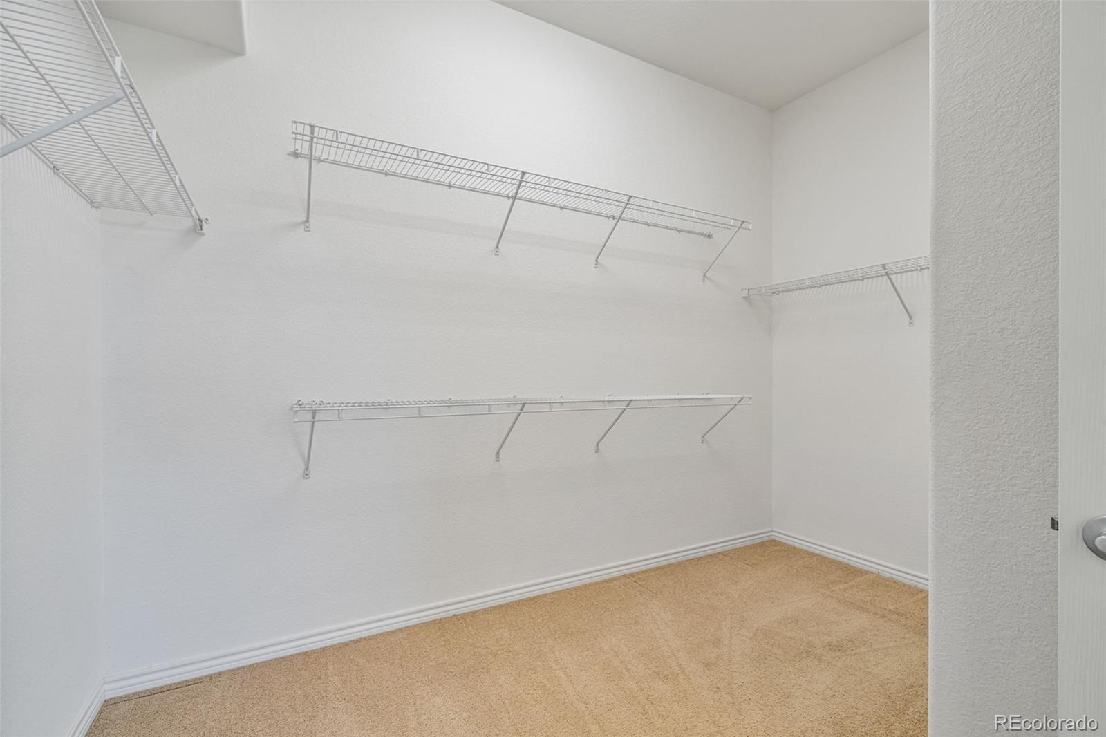 MLS Image #31 for 2105  baguette drive,castle rock, Colorado