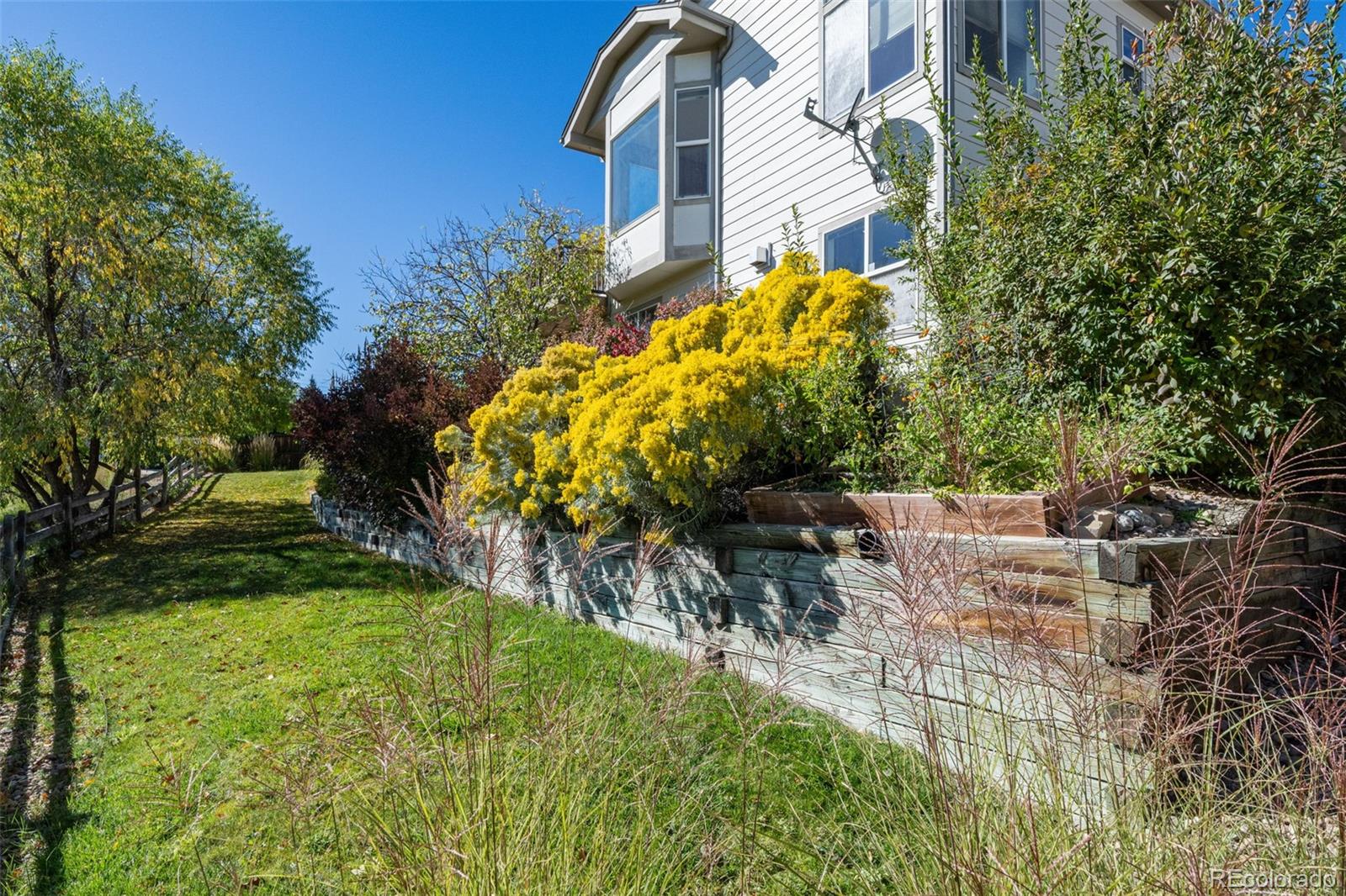 MLS Image #8 for 2105  baguette drive,castle rock, Colorado