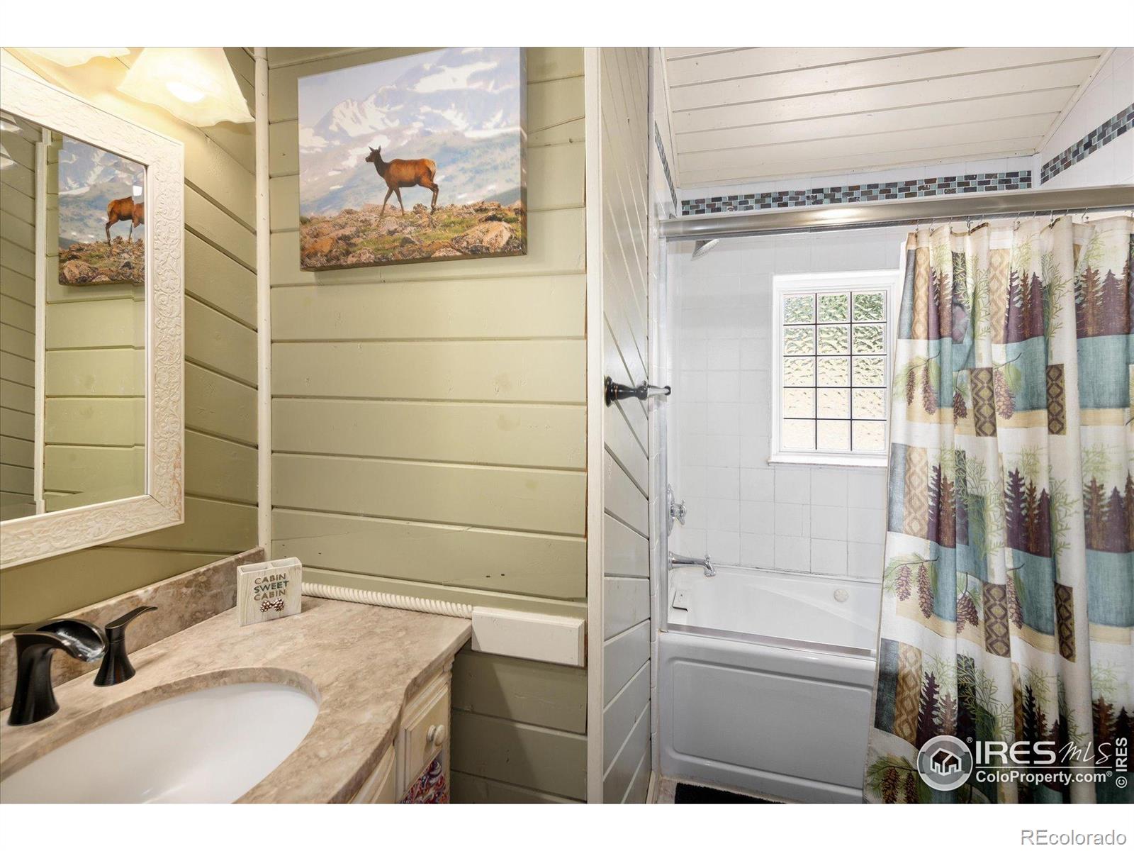 MLS Image #19 for 6791  brook forest drive,evergreen, Colorado