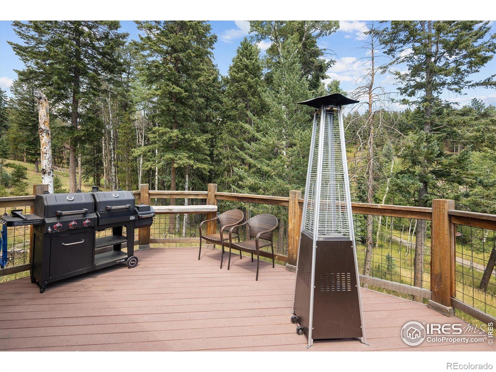 MLS Image #39 for 6791  brook forest drive,evergreen, Colorado