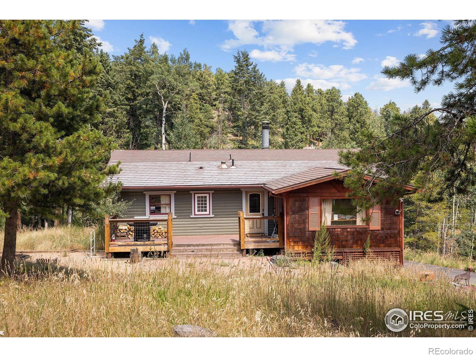 MLS Image #4 for 6791  brook forest drive,evergreen, Colorado