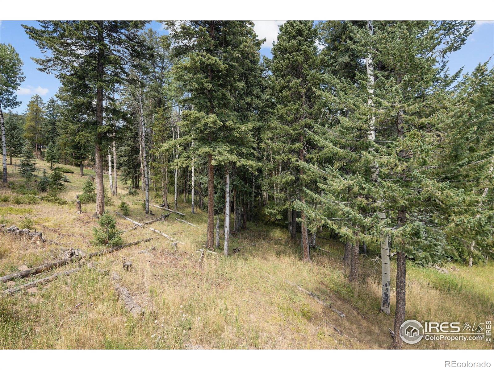 MLS Image #40 for 6791  brook forest drive,evergreen, Colorado