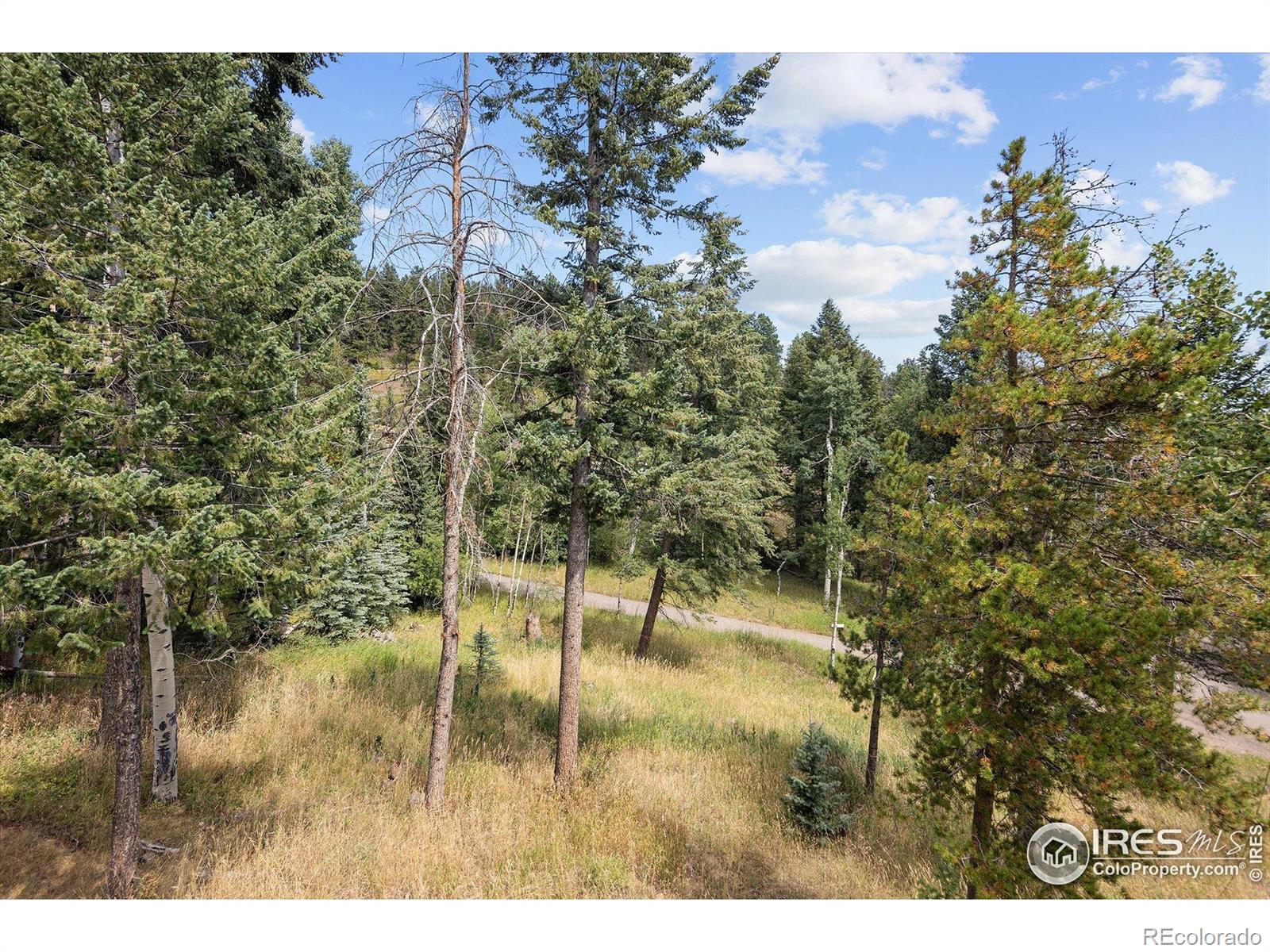 MLS Image #41 for 6791  brook forest drive,evergreen, Colorado
