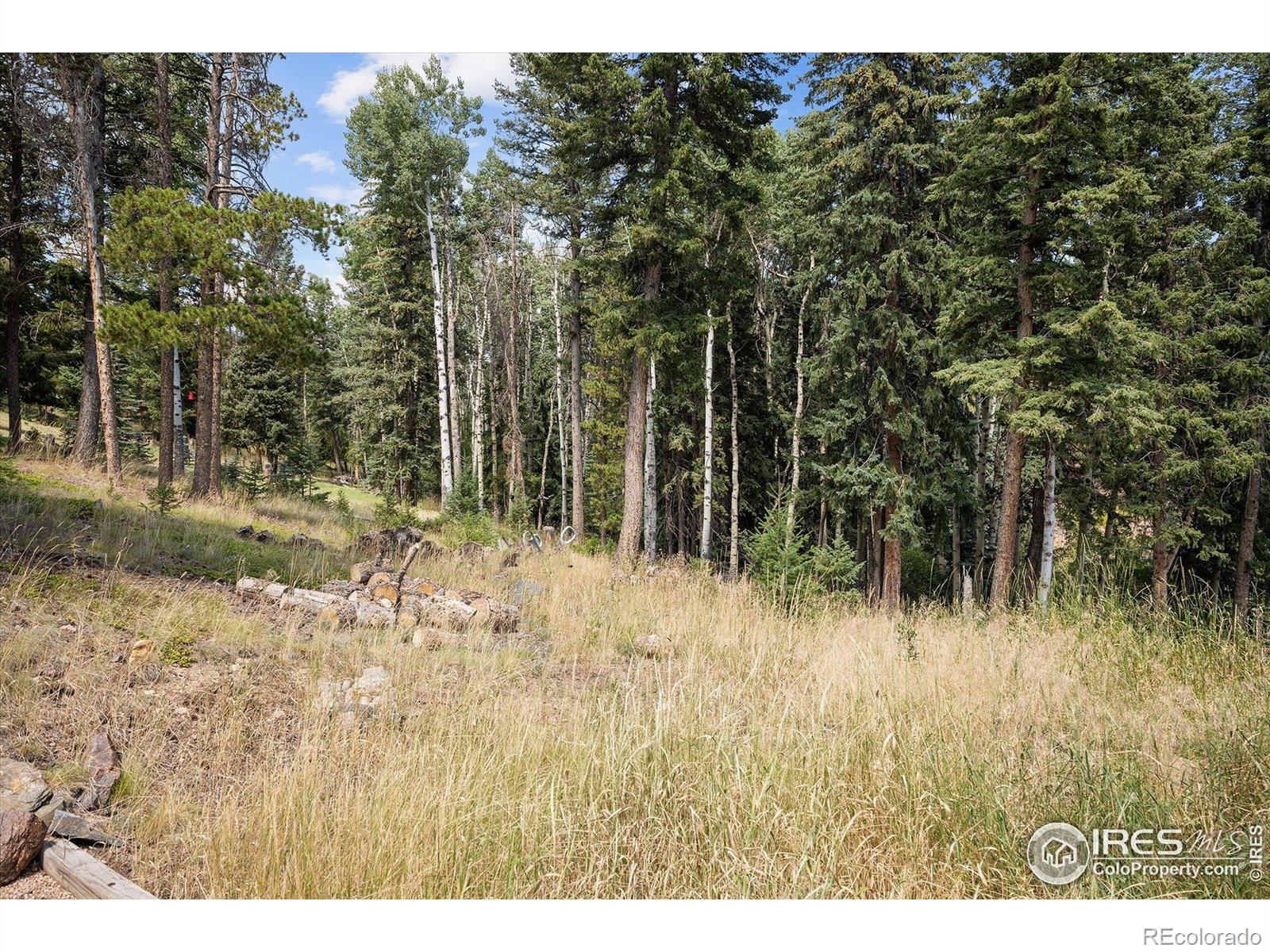 MLS Image #42 for 6791  brook forest drive,evergreen, Colorado