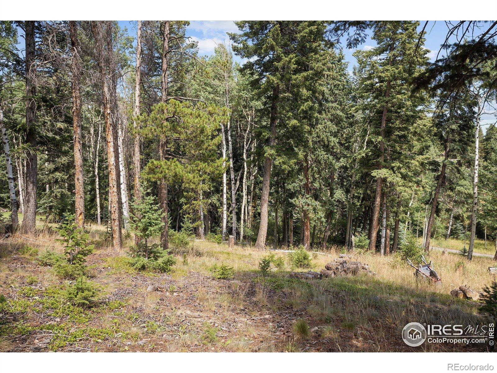 MLS Image #44 for 6791  brook forest drive,evergreen, Colorado