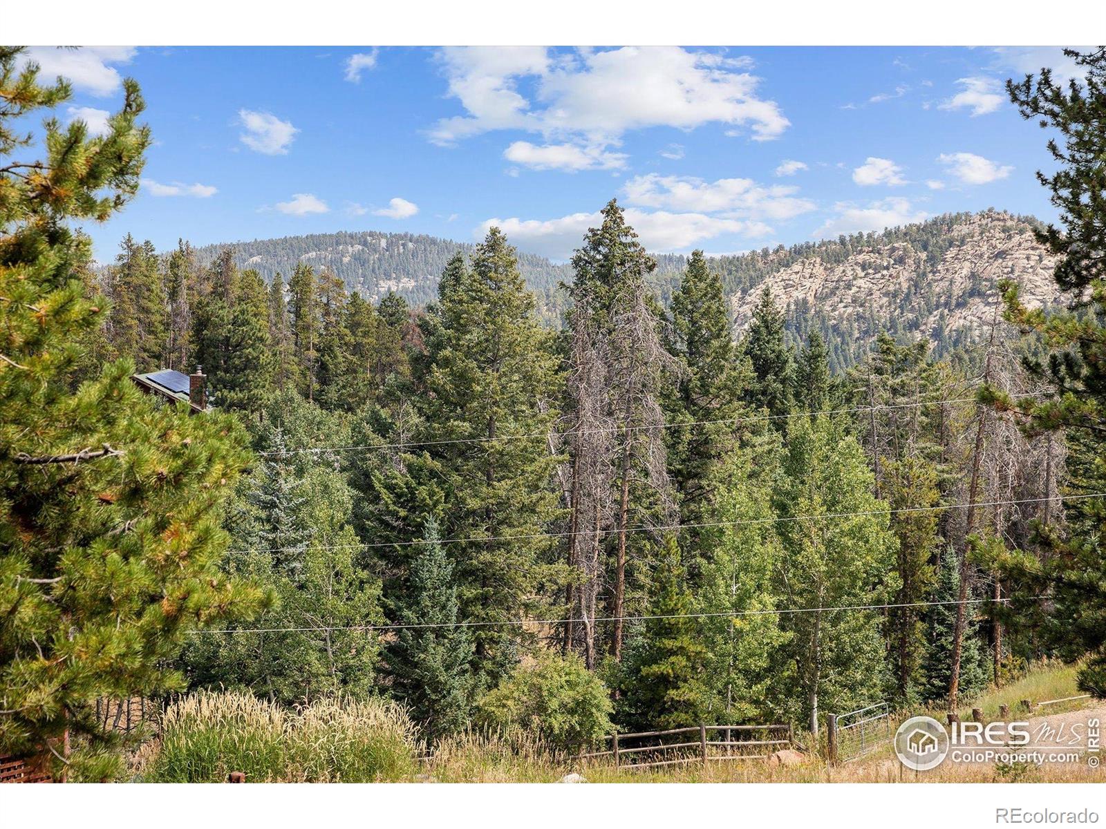 MLS Image #45 for 6791  brook forest drive,evergreen, Colorado