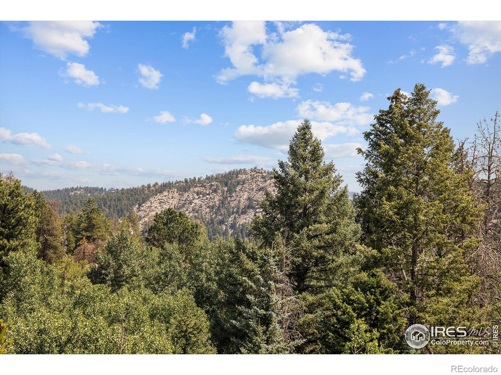MLS Image #46 for 6791  brook forest drive,evergreen, Colorado