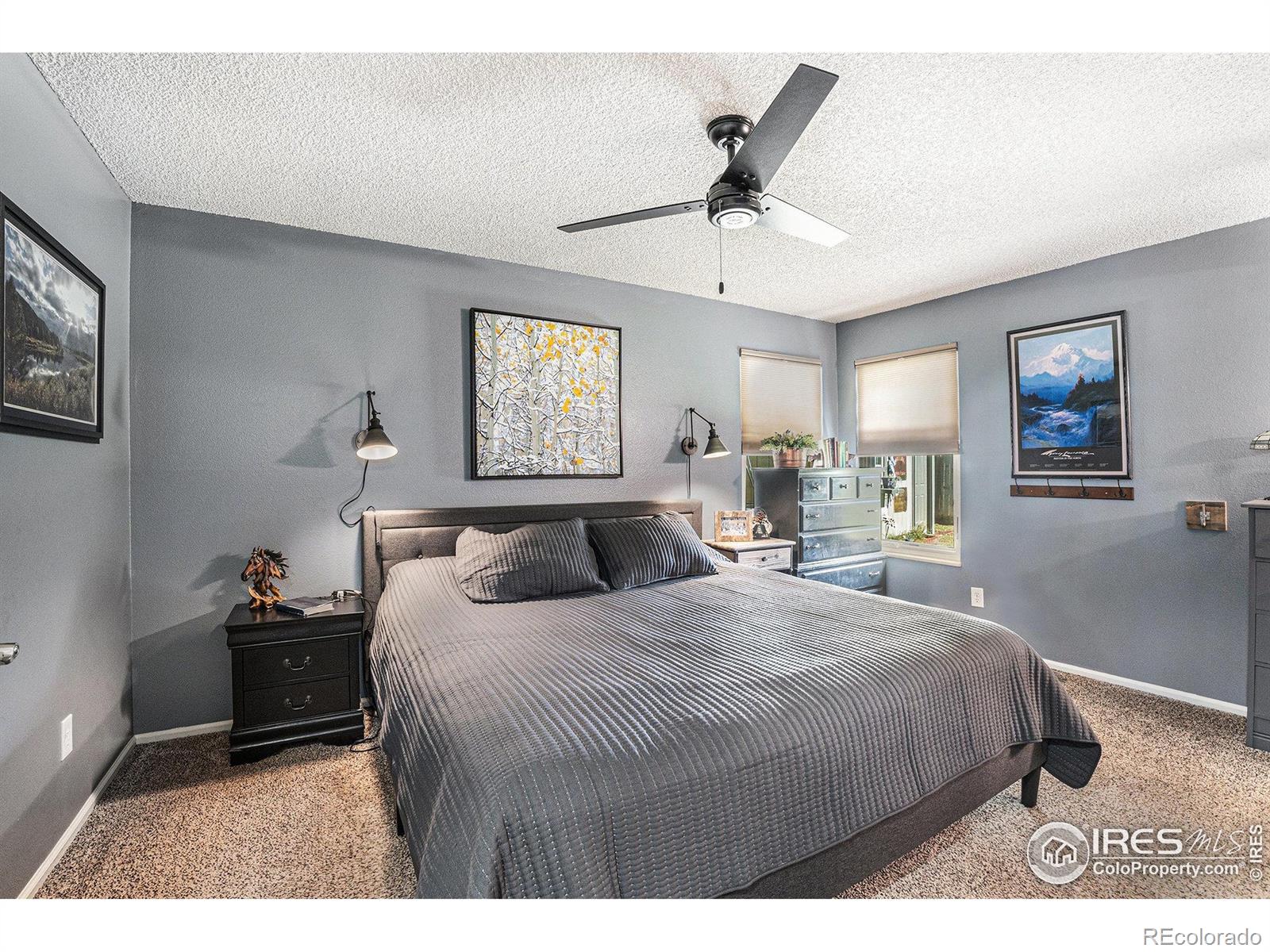 MLS Image #12 for 4056  boxelder drive,loveland, Colorado