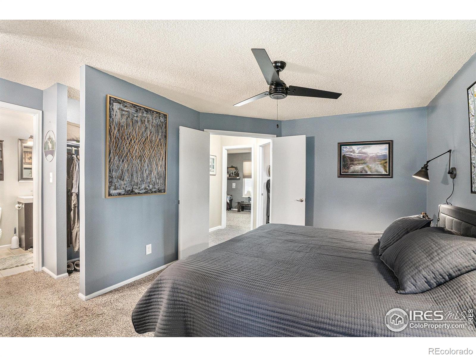 MLS Image #13 for 4056  boxelder drive,loveland, Colorado