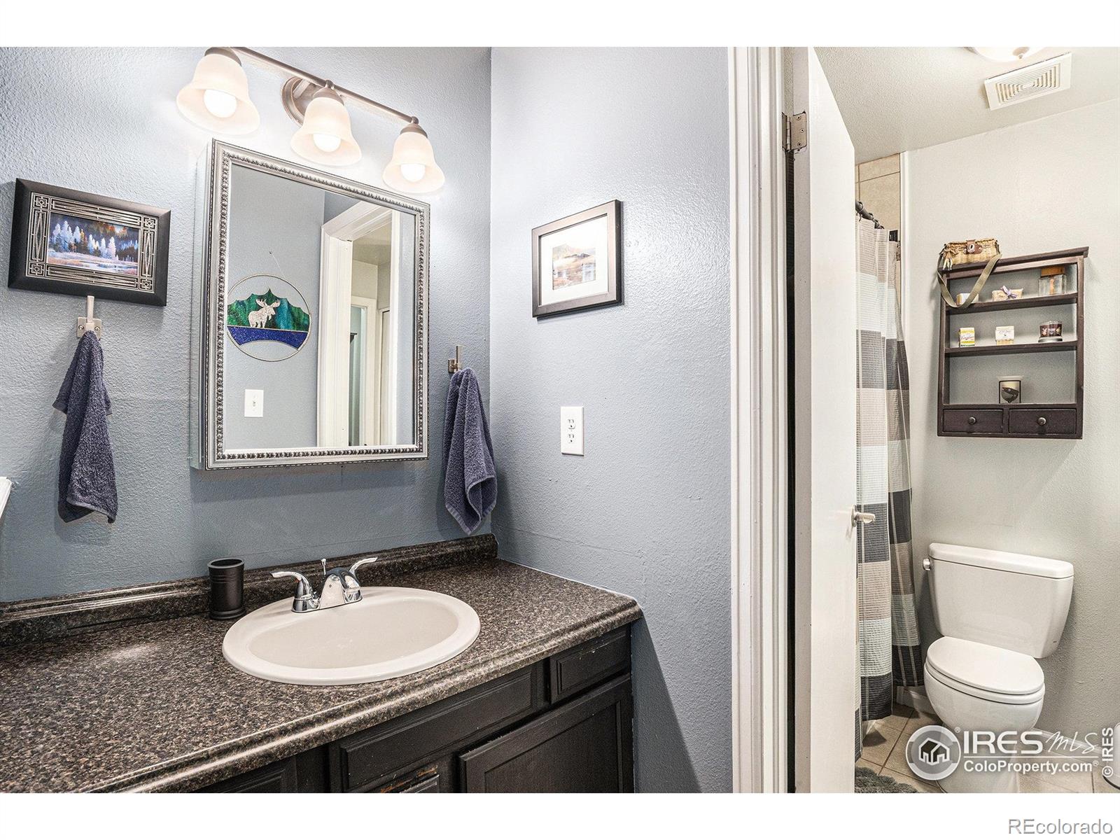 MLS Image #14 for 4056  boxelder drive,loveland, Colorado