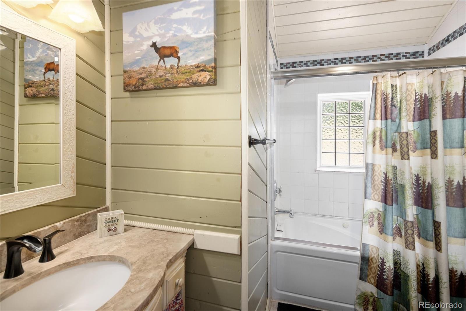 MLS Image #19 for 6791  brook forest drive,evergreen, Colorado