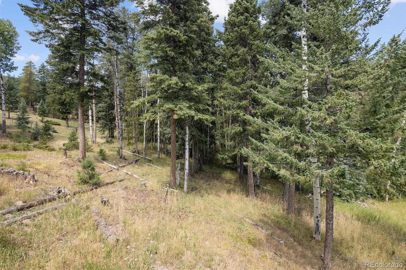MLS Image #40 for 6791  brook forest drive,evergreen, Colorado