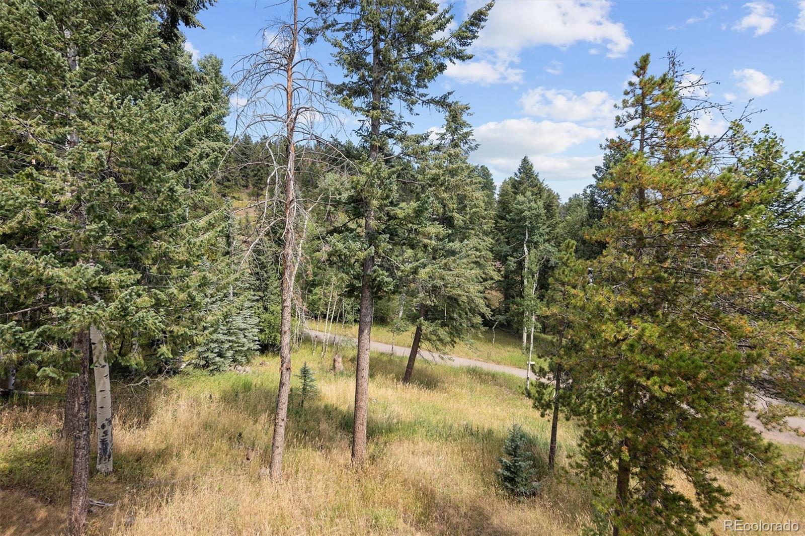 MLS Image #41 for 6791  brook forest drive,evergreen, Colorado