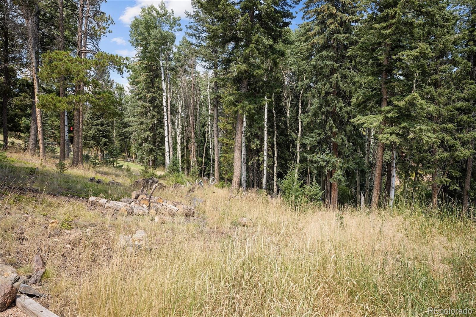 MLS Image #42 for 6791  brook forest drive,evergreen, Colorado