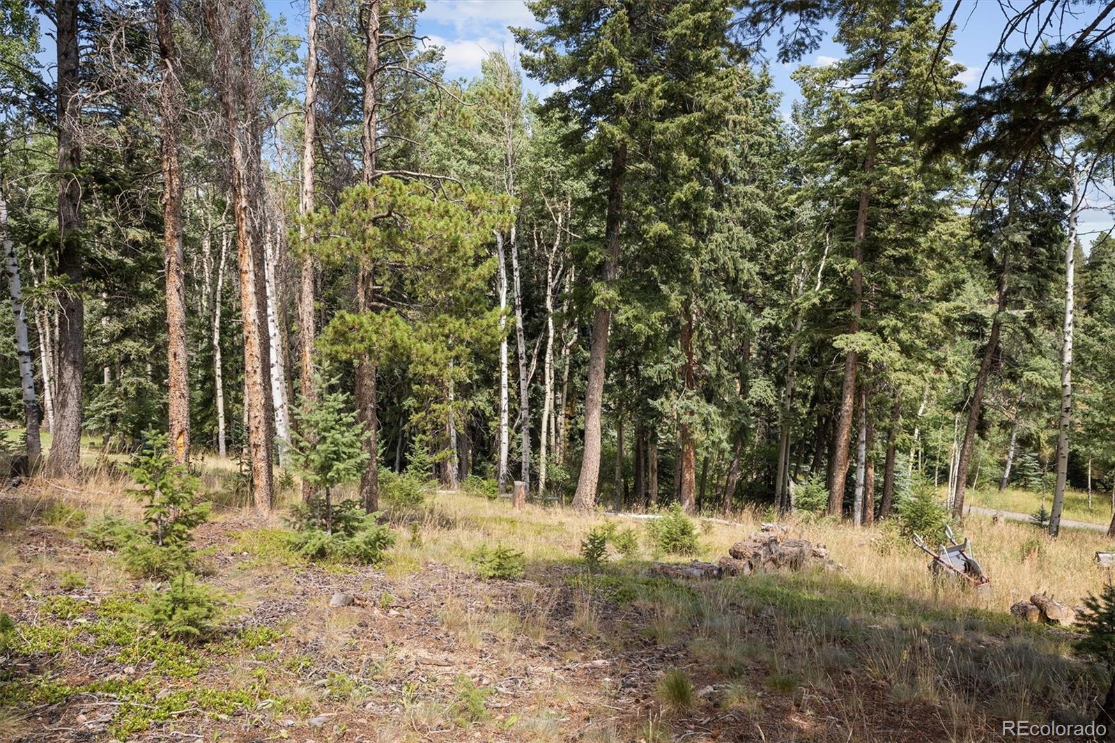 MLS Image #44 for 6791  brook forest drive,evergreen, Colorado