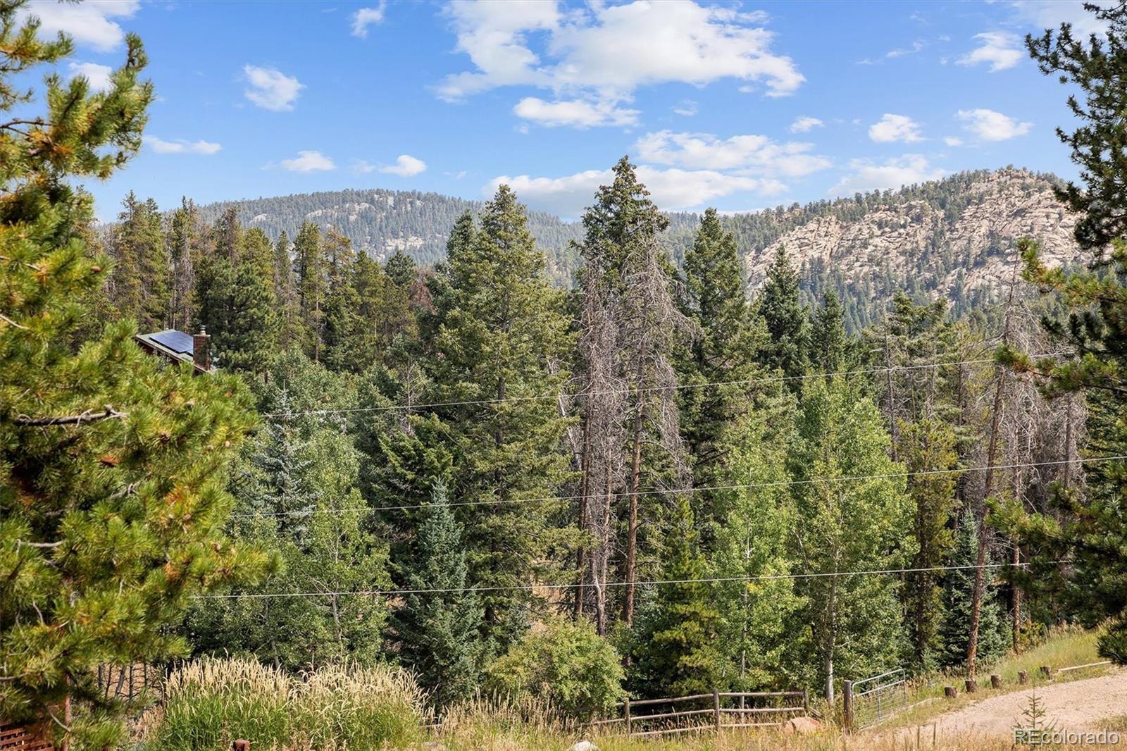 MLS Image #45 for 6791  brook forest drive,evergreen, Colorado