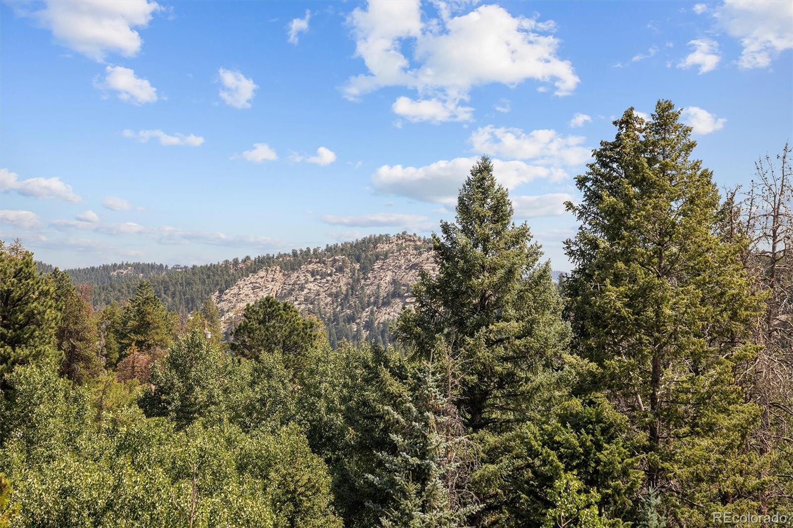 MLS Image #46 for 6791  brook forest drive,evergreen, Colorado