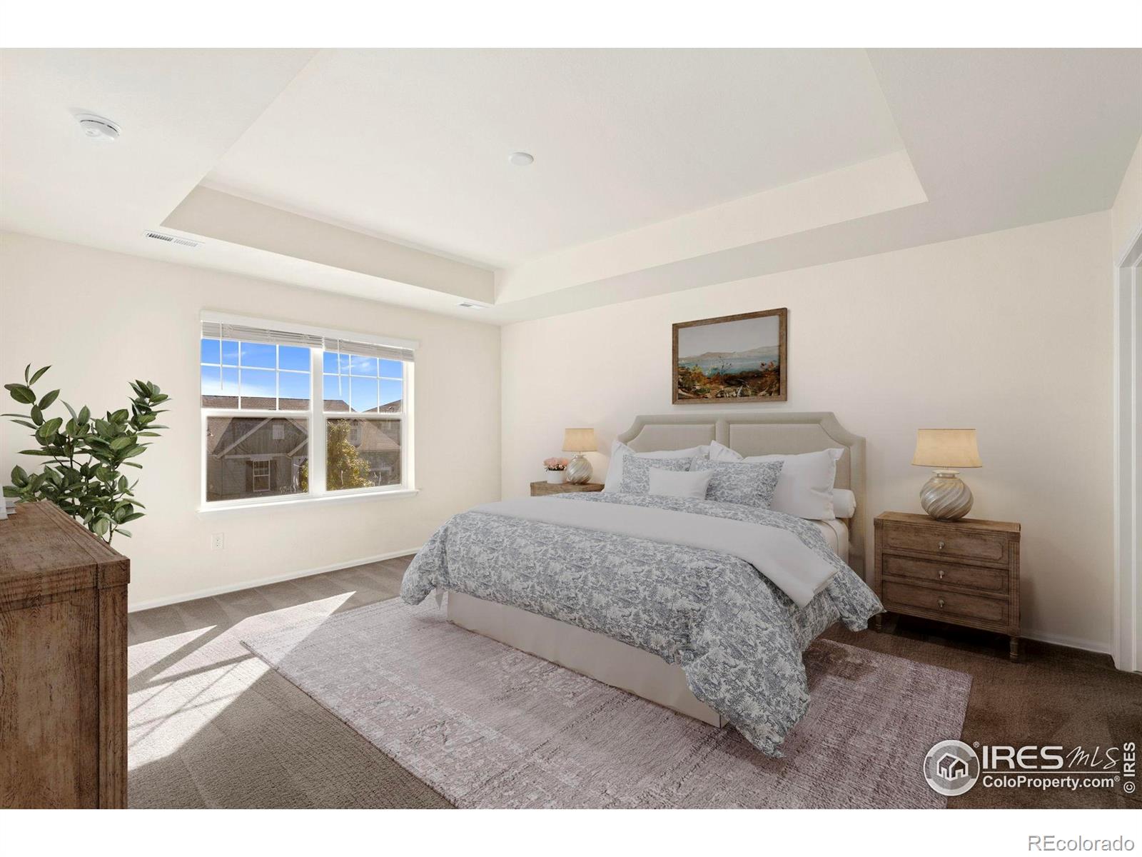 MLS Image #11 for 2944  reliant street,fort collins, Colorado