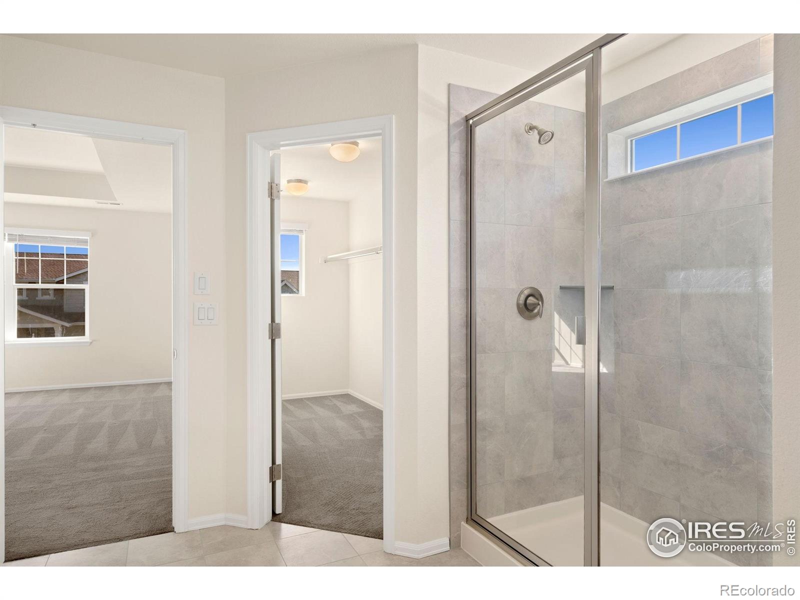 MLS Image #15 for 2944  reliant street,fort collins, Colorado
