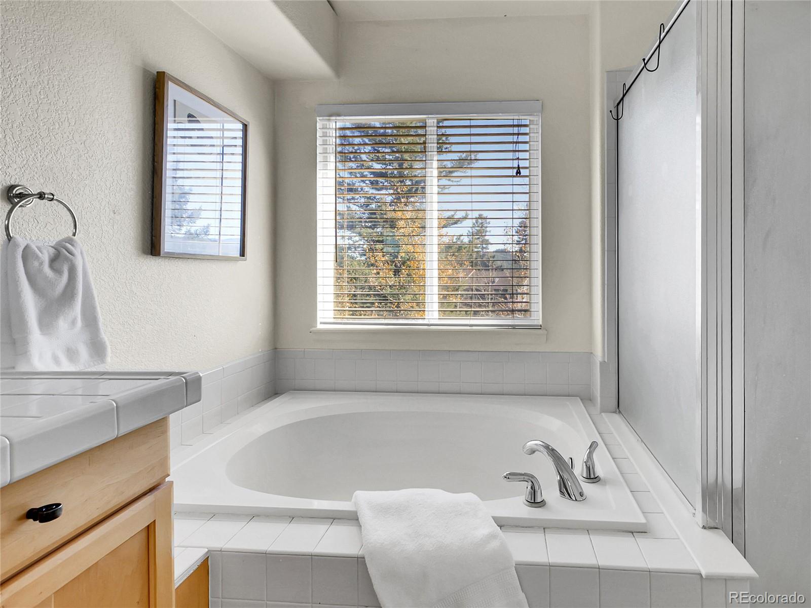 MLS Image #13 for 13586  wamblee trail,conifer, Colorado