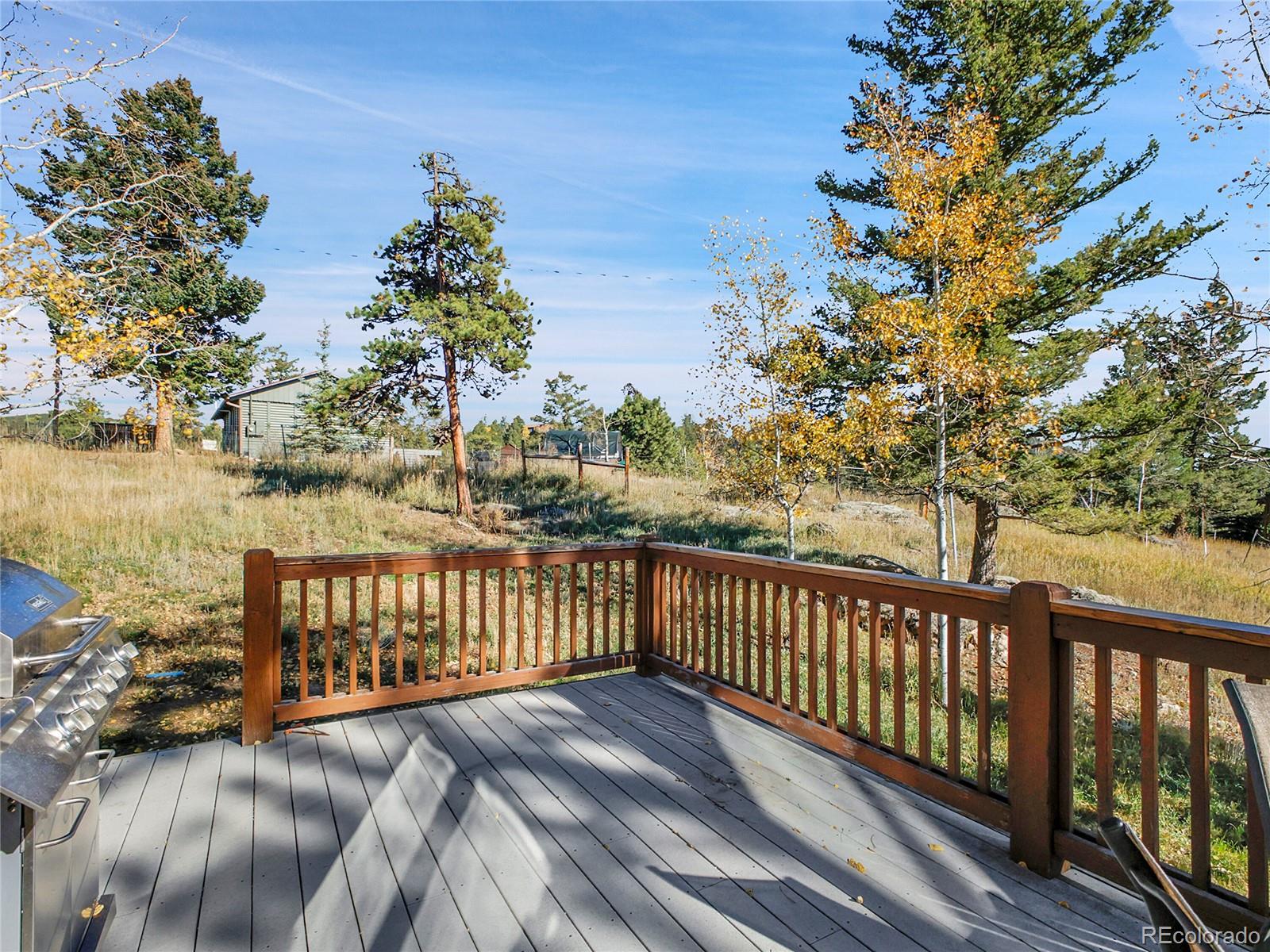 MLS Image #24 for 13586  wamblee trail,conifer, Colorado