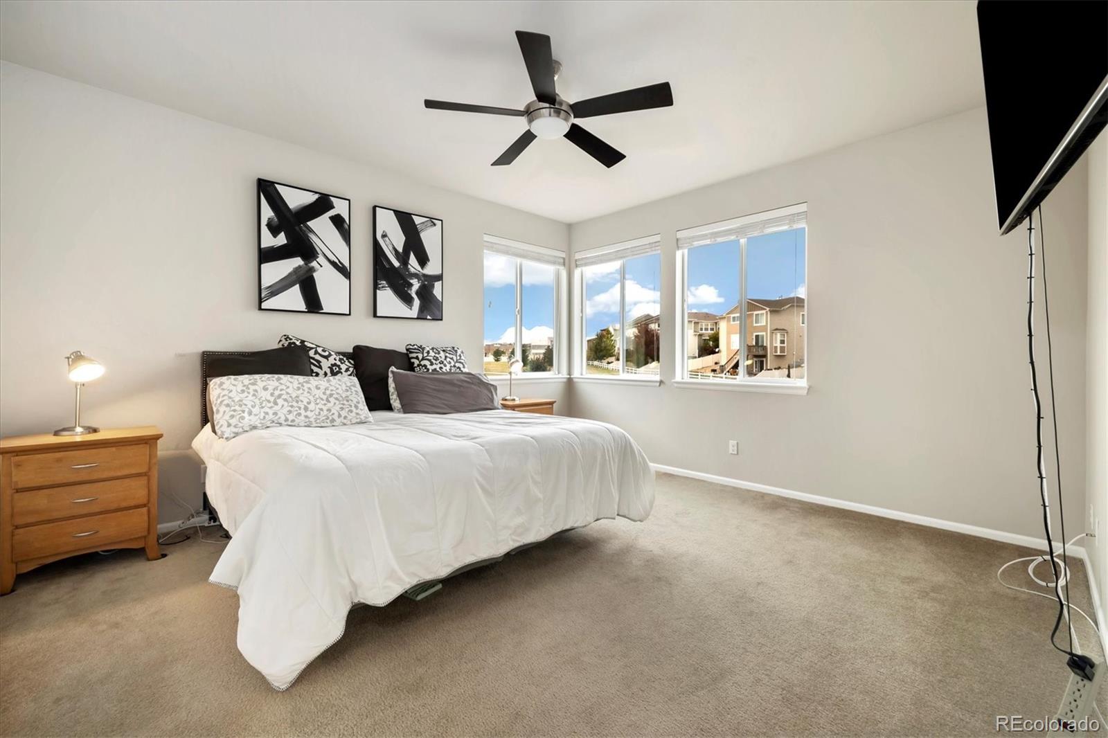 MLS Image #15 for 12267  coral burst lane,parker, Colorado