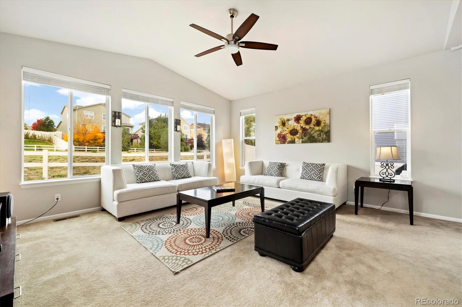 MLS Image #3 for 12267  coral burst lane,parker, Colorado