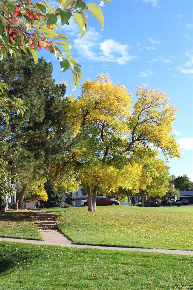 MLS Image #28 for 1291 s wheeling way ,aurora, Colorado