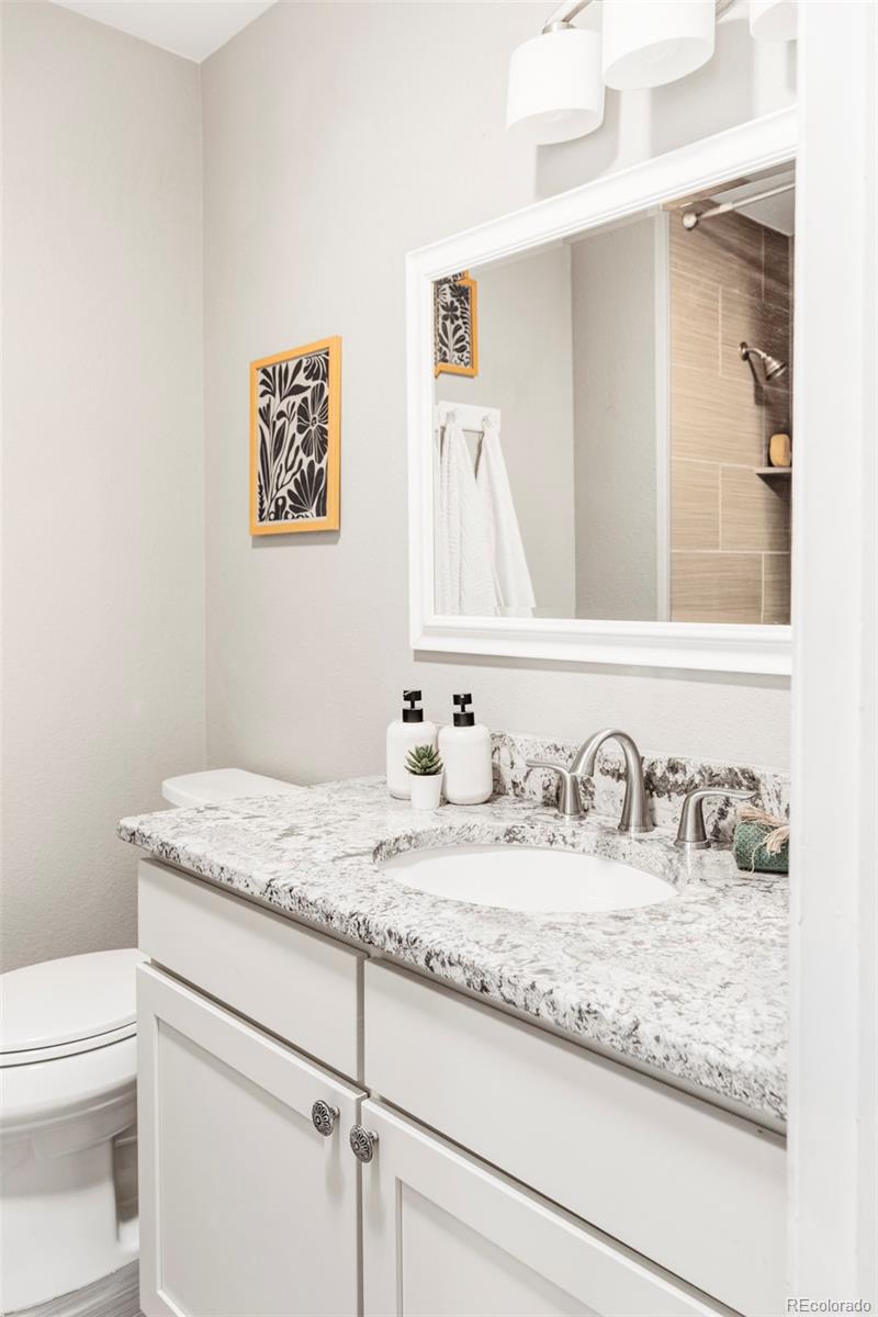 MLS Image #16 for 9323  weeping willow place,highlands ranch, Colorado