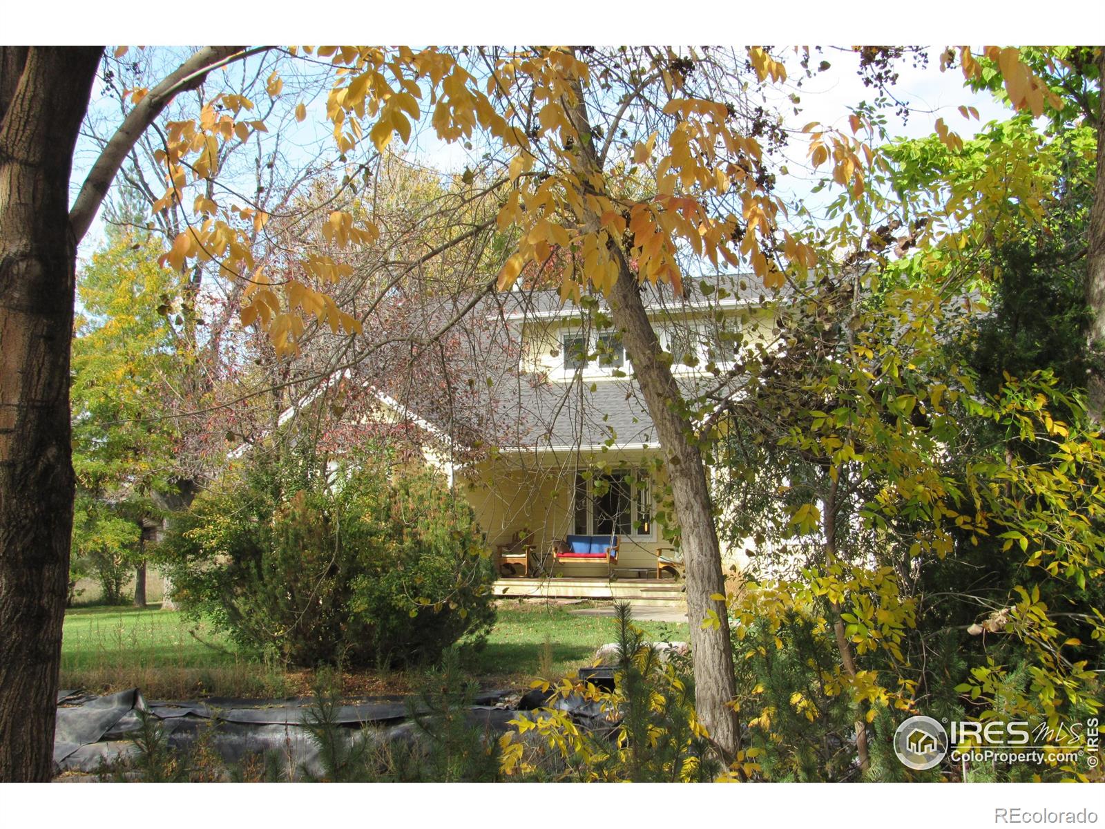 MLS Image #21 for 11375  jasper road,lafayette, Colorado