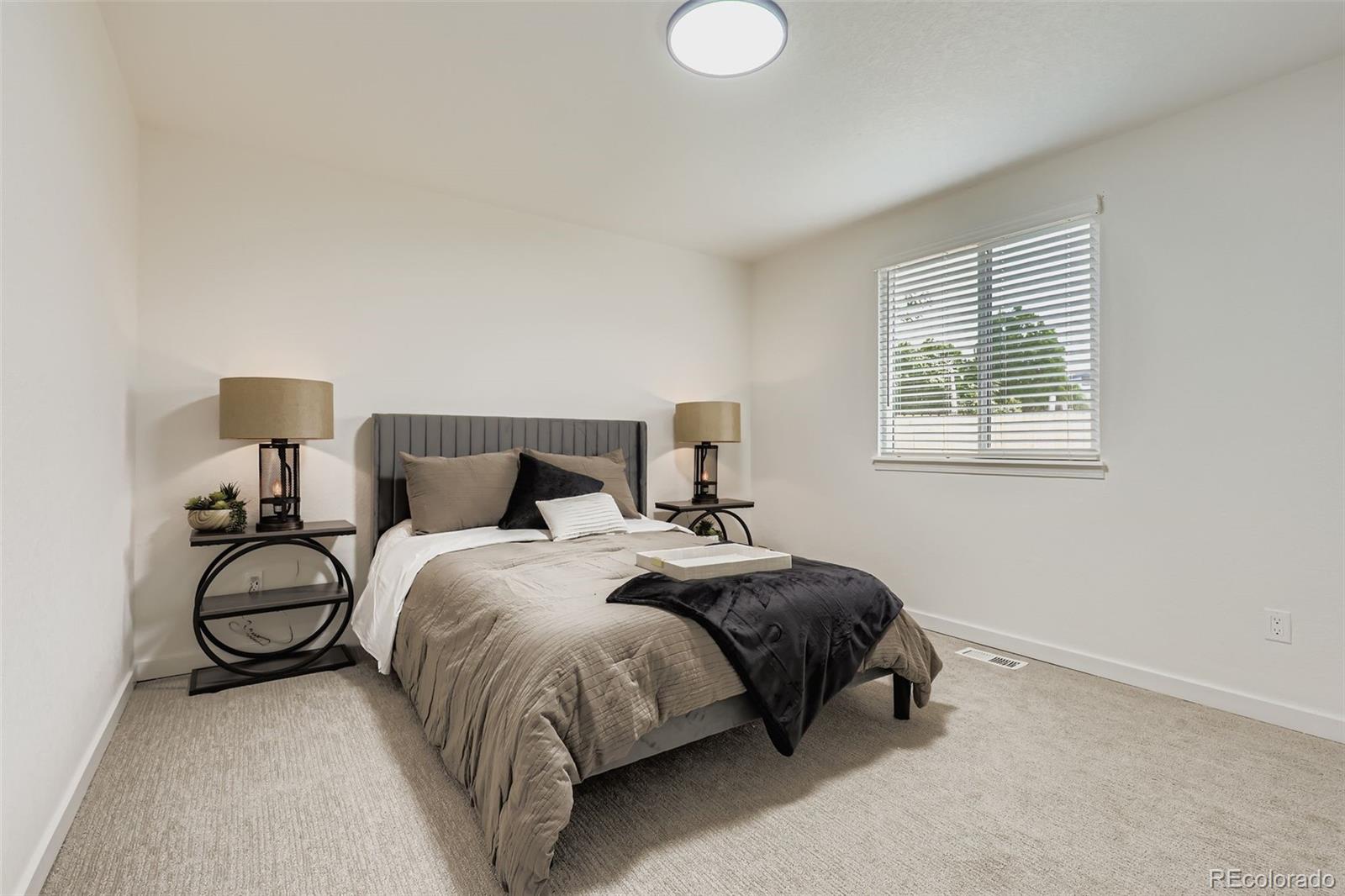 MLS Image #13 for 4465  durham court,denver, Colorado