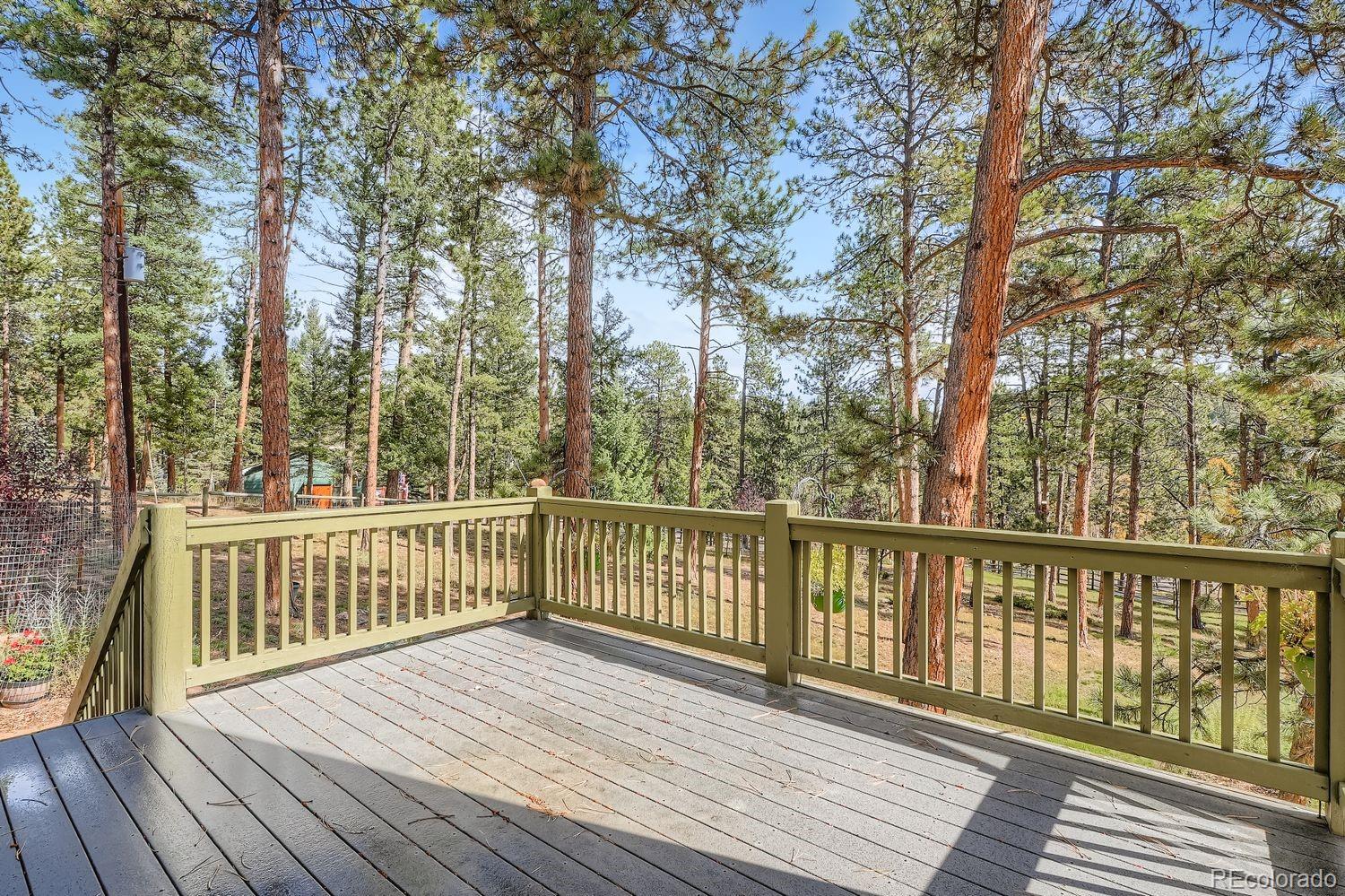MLS Image #24 for 13637  wamblee trail,conifer, Colorado