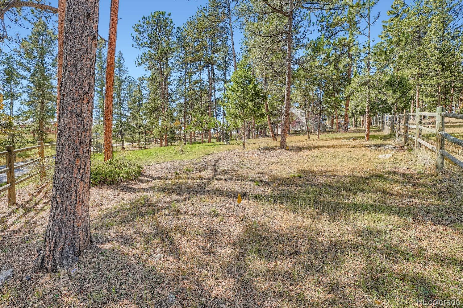 MLS Image #25 for 13637  wamblee trail,conifer, Colorado