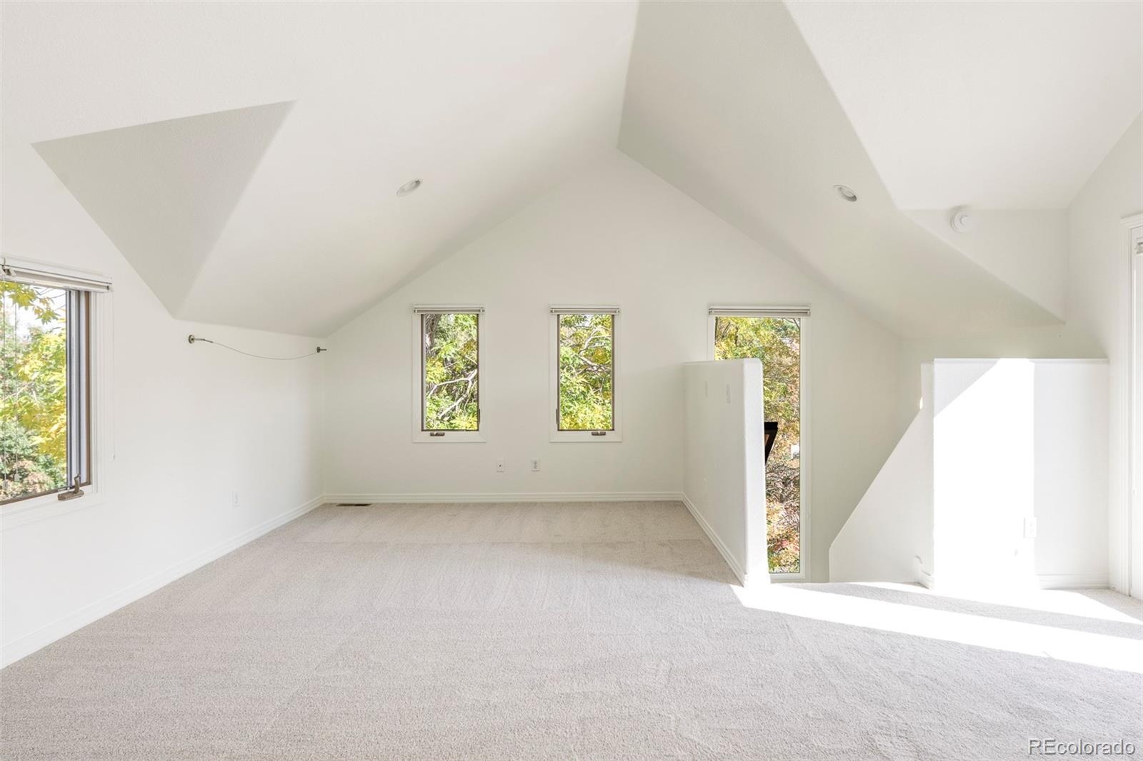 MLS Image #20 for 1617 n humboldt street ,denver, Colorado