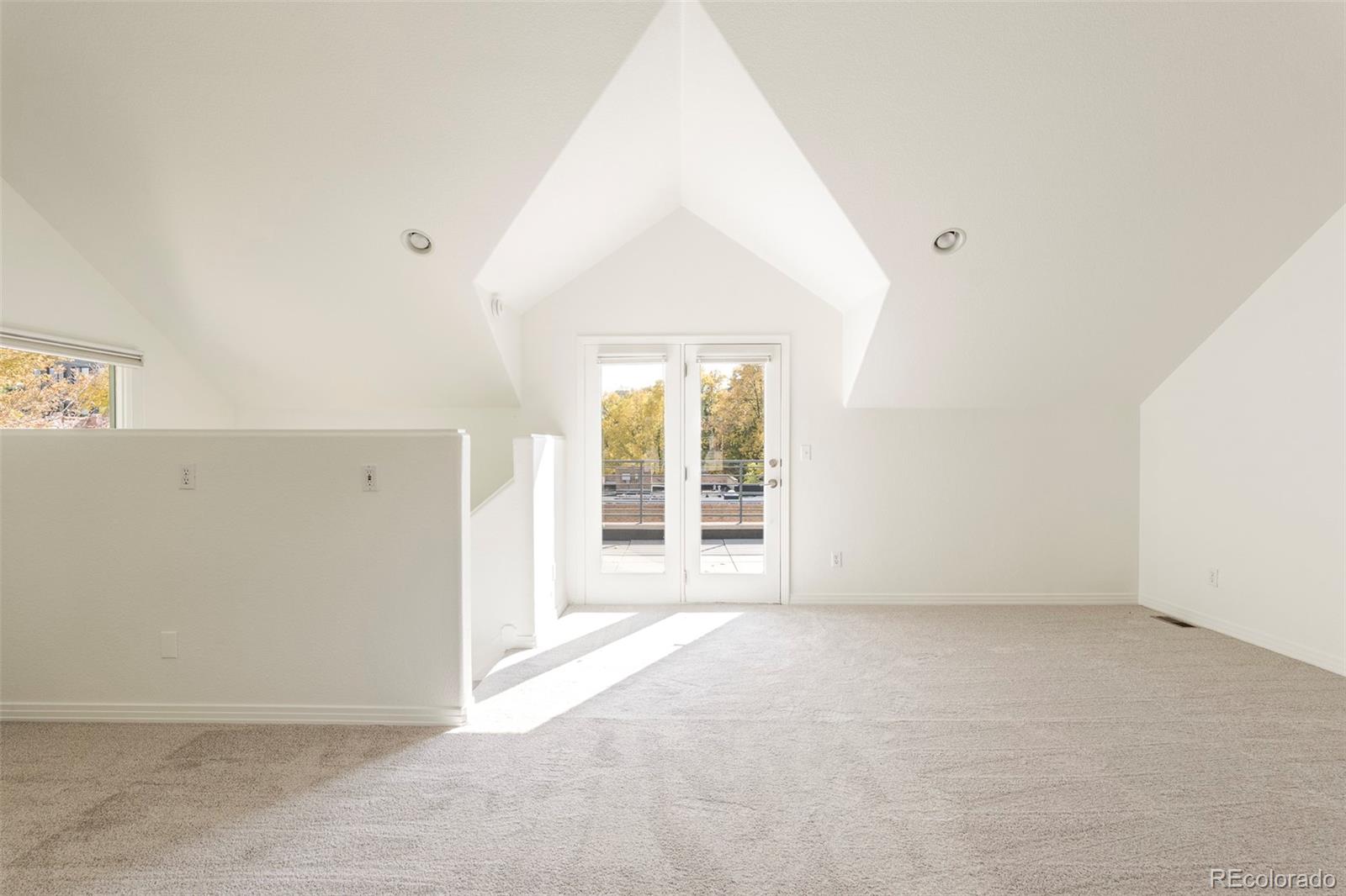 MLS Image #21 for 1617 n humboldt street ,denver, Colorado