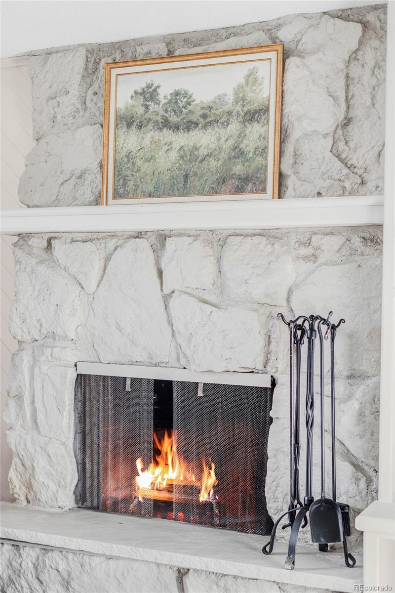 MLS Image #15 for 2088 s winona court,denver, Colorado