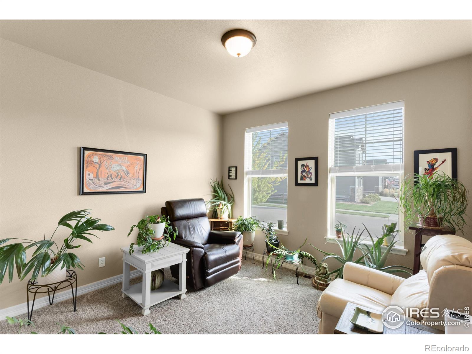 MLS Image #20 for 4456  fox grove drive,fort collins, Colorado