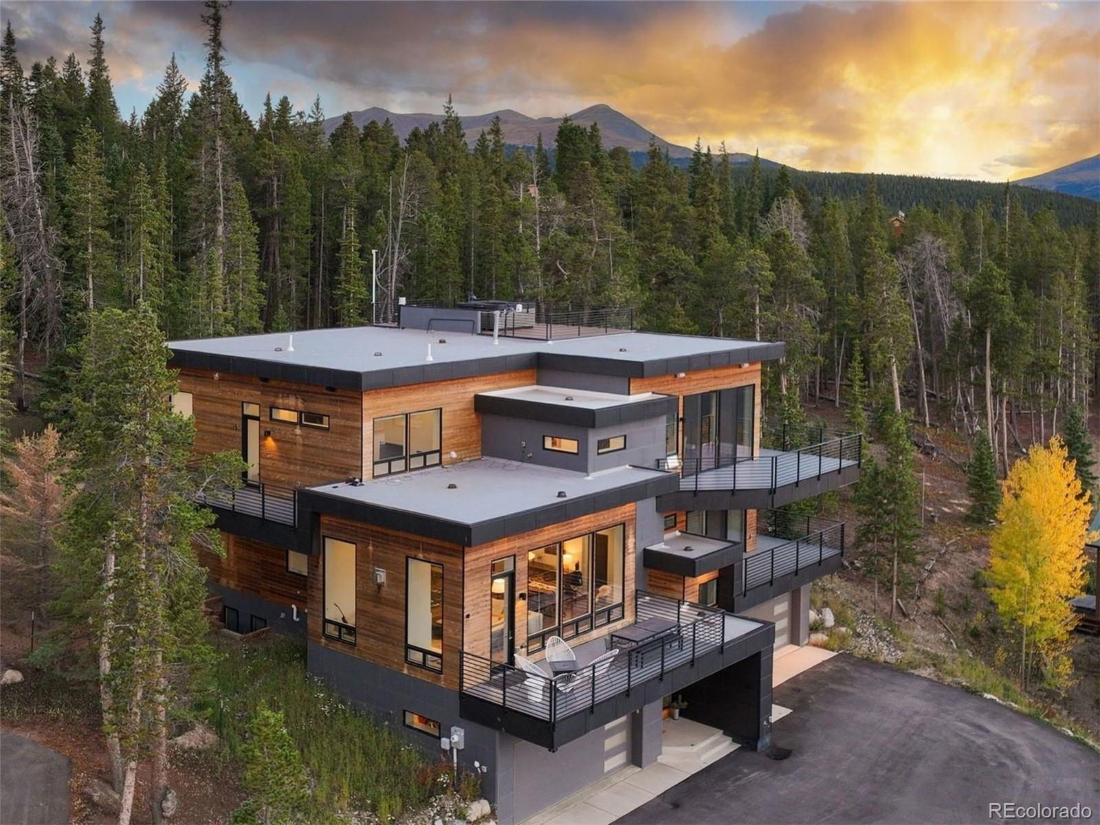 MLS Image #1 for 290 n fuller placer road,breckenridge, Colorado