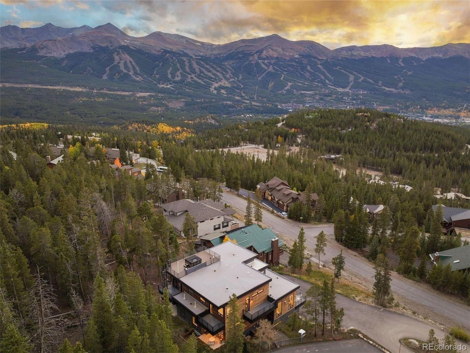 MLS Image #3 for 290 n fuller placer road,breckenridge, Colorado