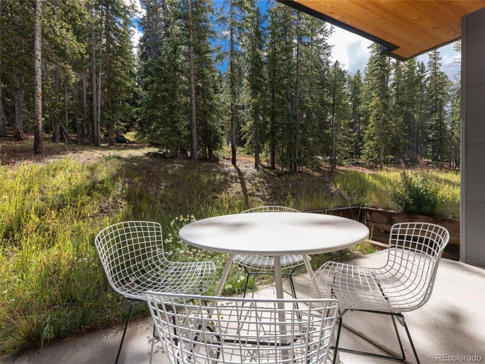 MLS Image #38 for 290 n fuller placer road,breckenridge, Colorado
