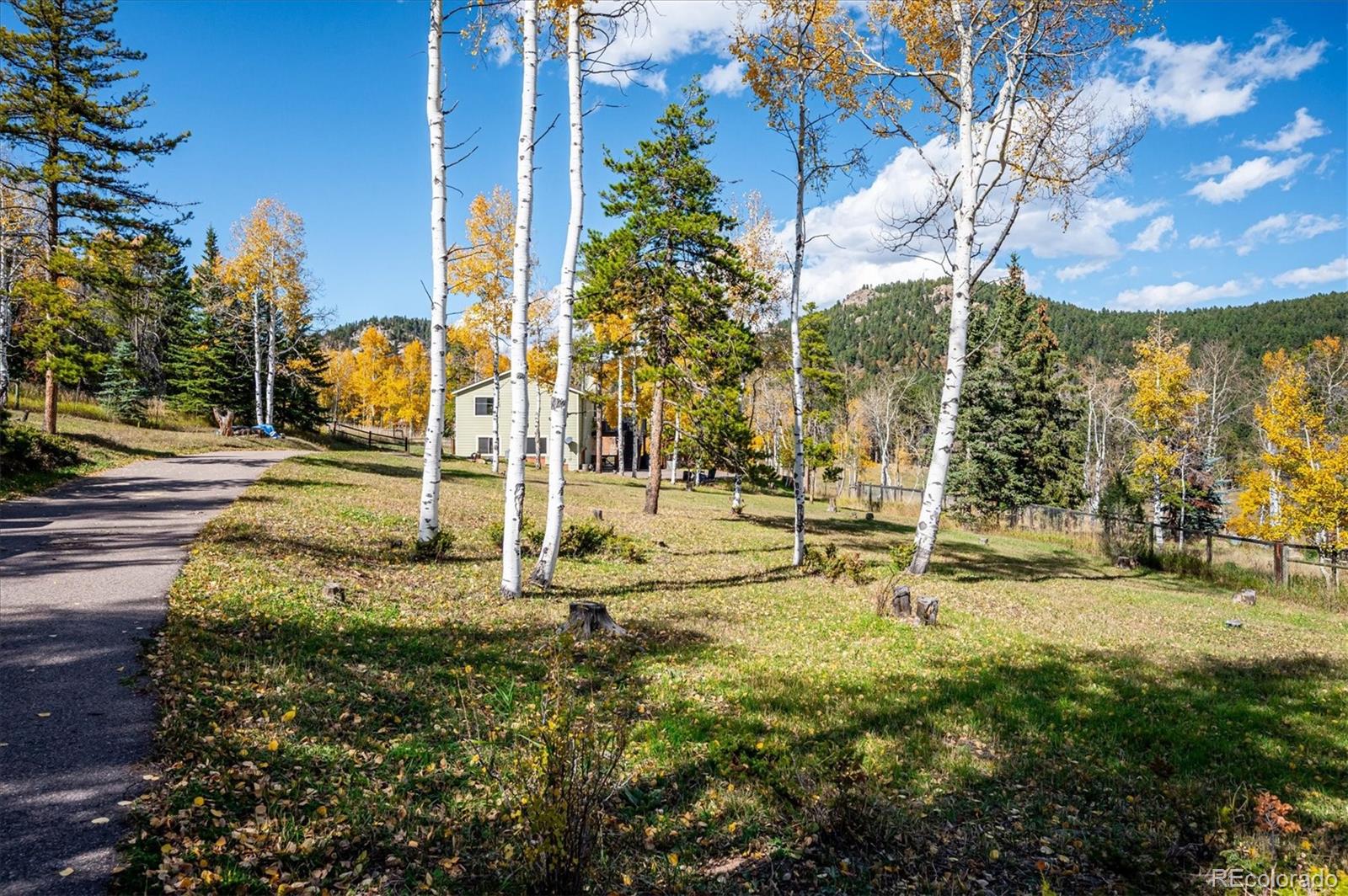 MLS Image #2 for 12369  quartz spur,conifer, Colorado