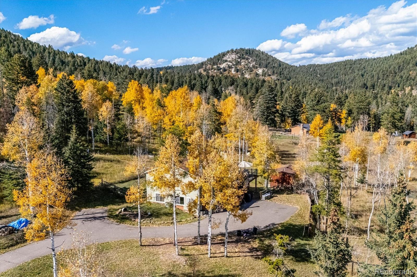 MLS Image #32 for 12369  quartz spur,conifer, Colorado
