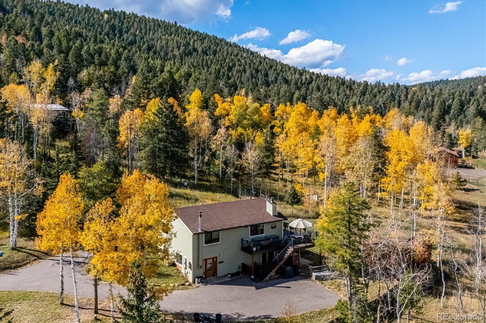 MLS Image #4 for 12369  quartz spur,conifer, Colorado