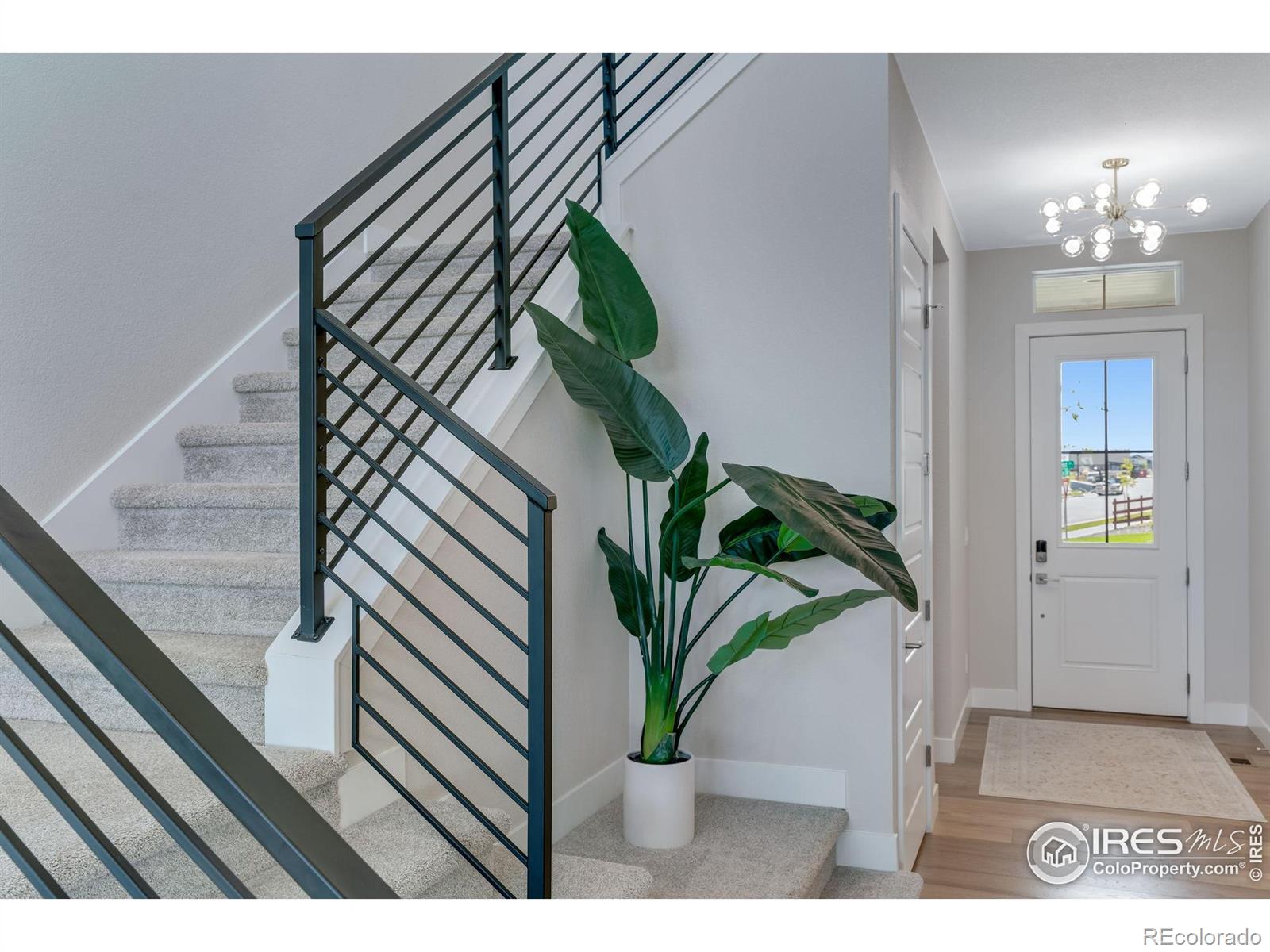 MLS Image #10 for 1881  frost drive,windsor, Colorado