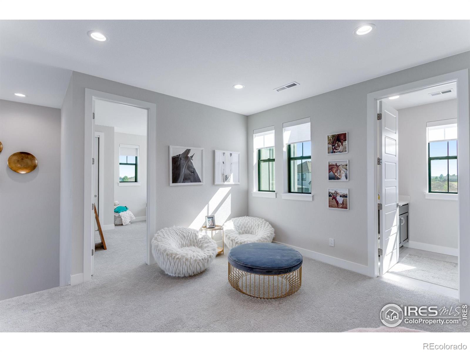 MLS Image #27 for 1881  frost drive,windsor, Colorado