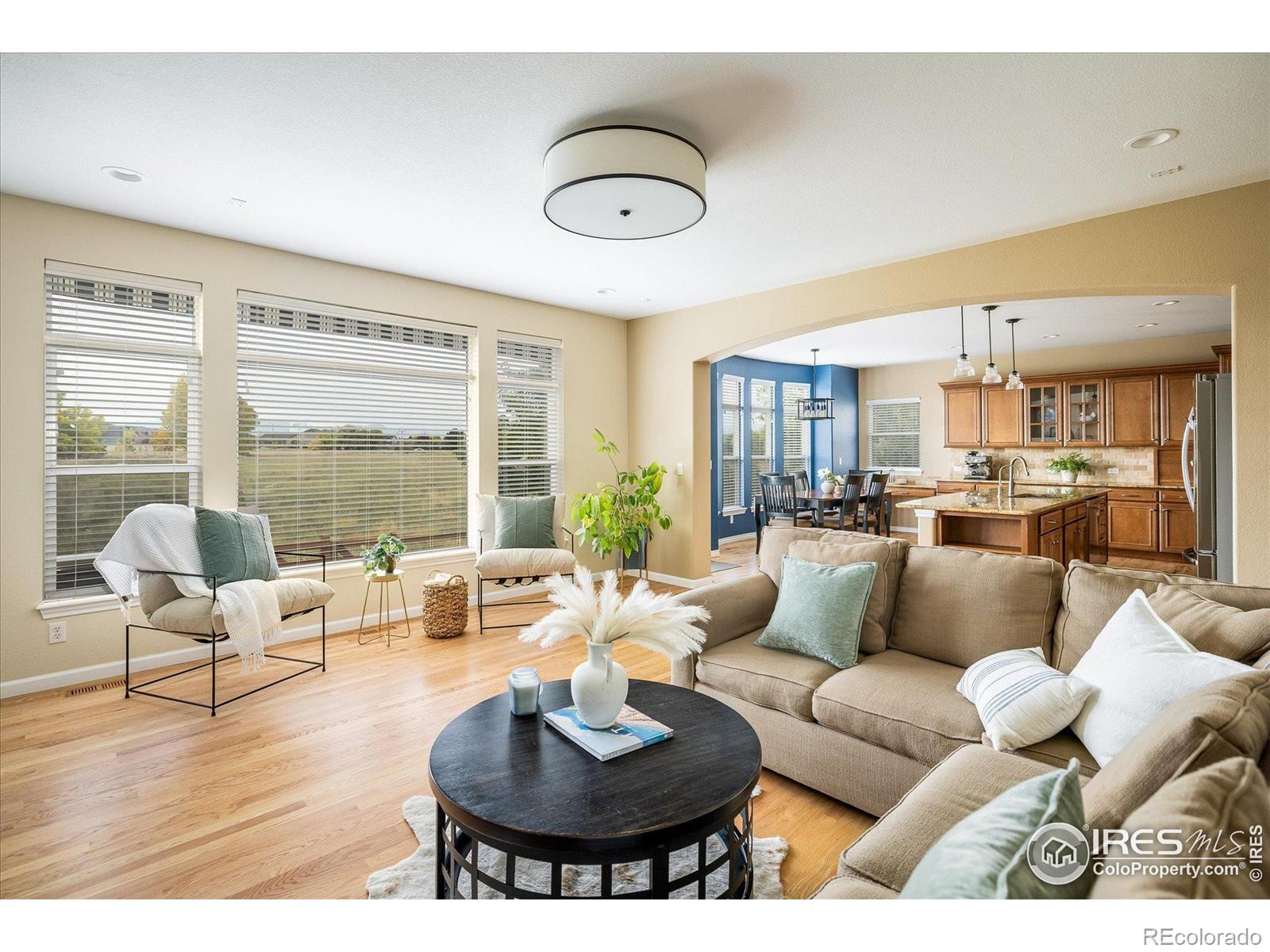 MLS Image #13 for 936  weston circle,erie, Colorado