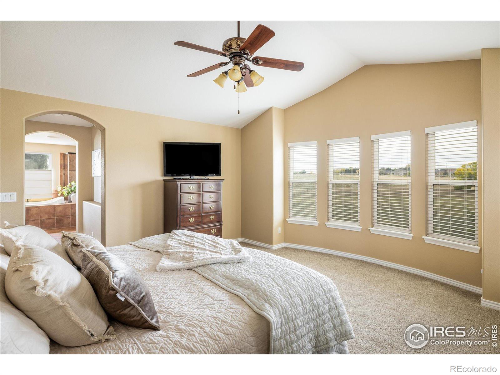 MLS Image #23 for 936  weston circle,erie, Colorado