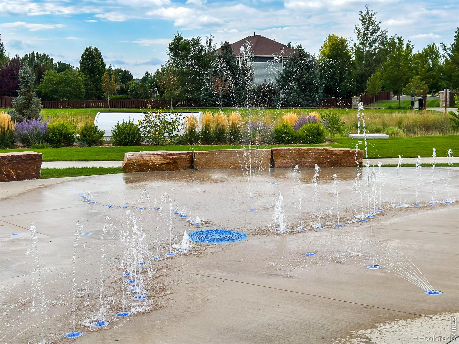 MLS Image #26 for 6793  maple leaf drive,timnath, Colorado