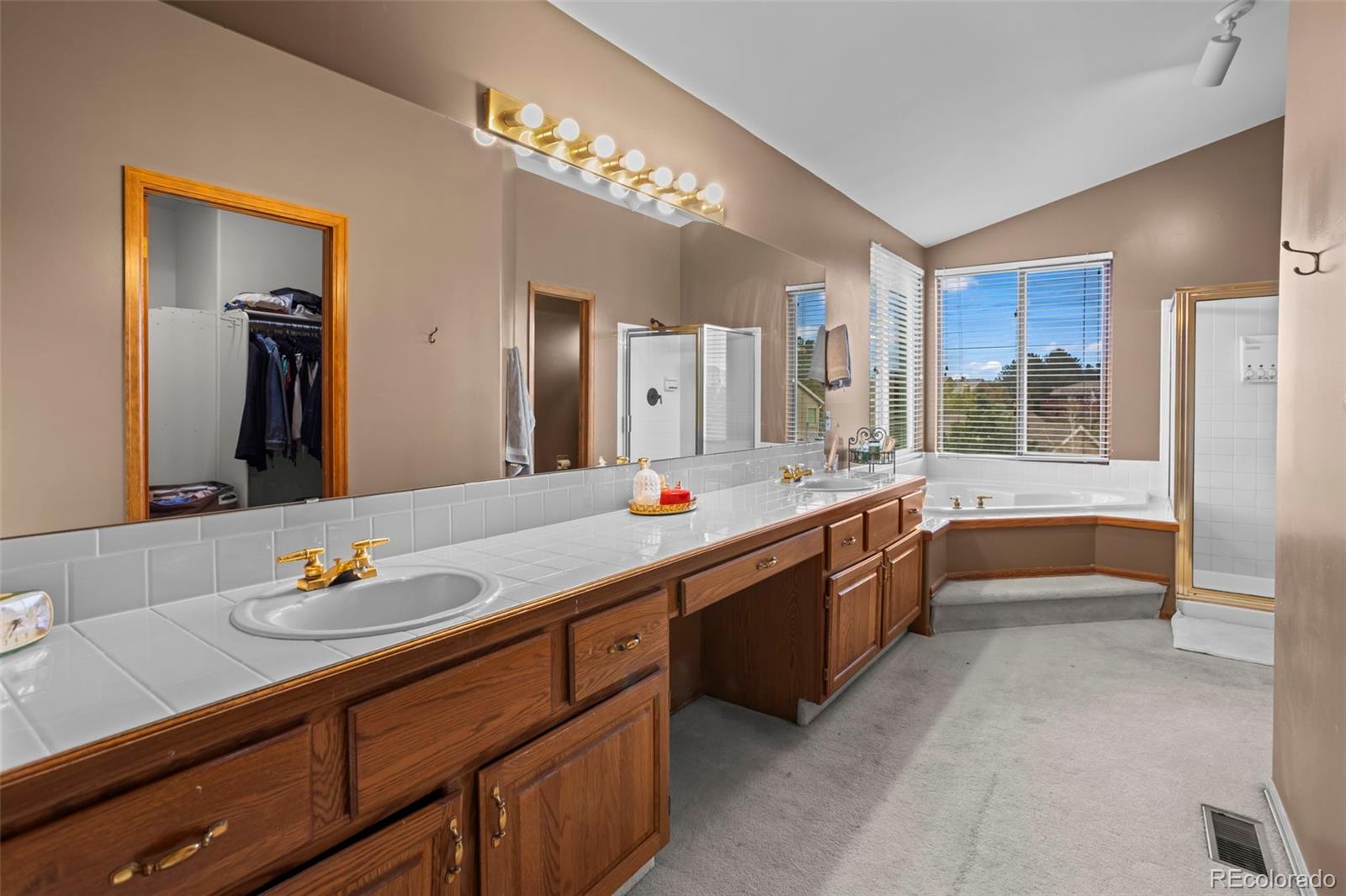 MLS Image #13 for 125  mission hill way,colorado springs, Colorado