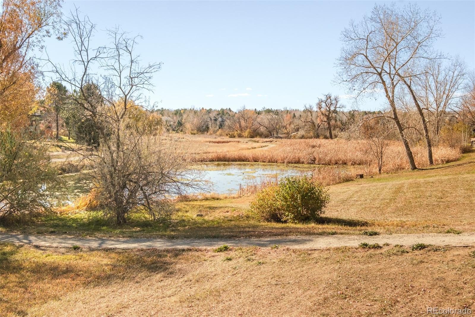 MLS Image #47 for 1  silver fox drive,greenwood village, Colorado